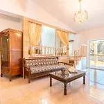 Absinthia Fanes Rhodes City